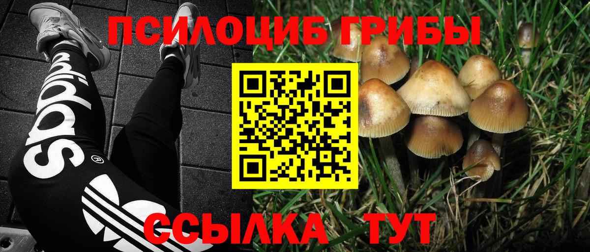 Псилоцибиновые грибы MAGIC MUSHROOMS Знаменск